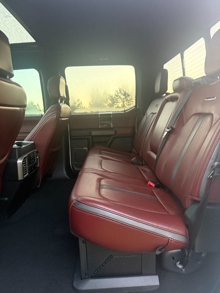 2020 Ford F-250 Super Duty Platinum - Photo 10